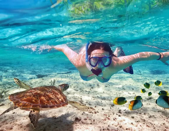 🐠 Snorkel Trip Klein Bonaire: Discover the Reef’s Hidden Magic