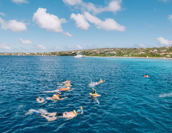 🛳️ Bonaire Shore Excursions During Carnival: Make the Most of Your Day Ashore