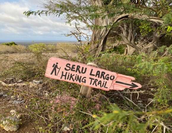 🚶‍♀️ Bonaire Walking Tour Seru Largu: A Peaceful Path to the Island’s Spirit