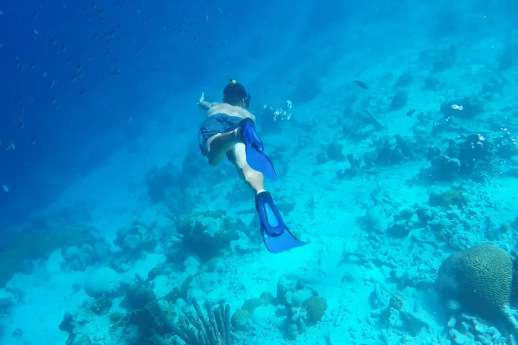 Bonaire snorkel tour