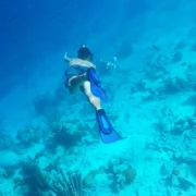 Bonaire snorkel tour