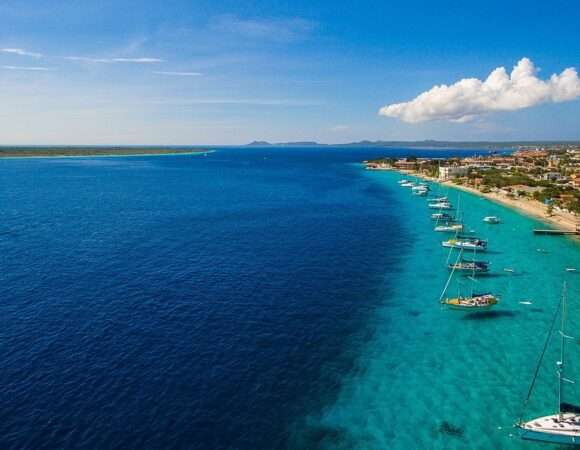 🌴 Over Bonaire: Everything You Need to Know About the Island