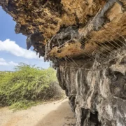 cave paintings tour Bonaire