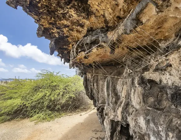 🗿 Cave Paintings Tour Bonaire: Walk Through the Island’s Ancient Past