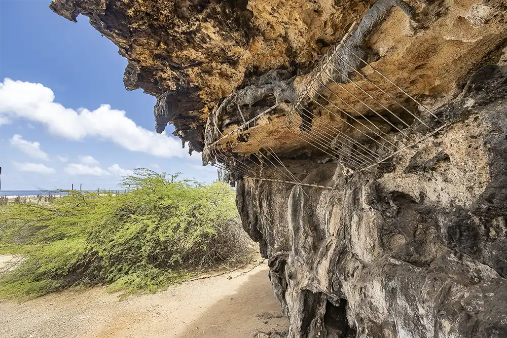 cave paintings tour Bonaire