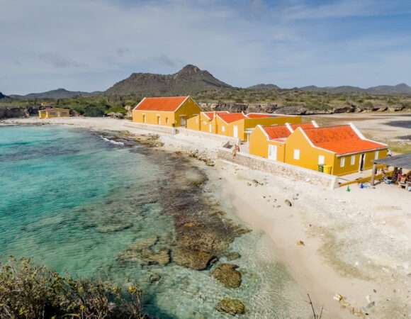 🌄 Washington Park Tour Bonaire: Explore the Island’s Wild Side