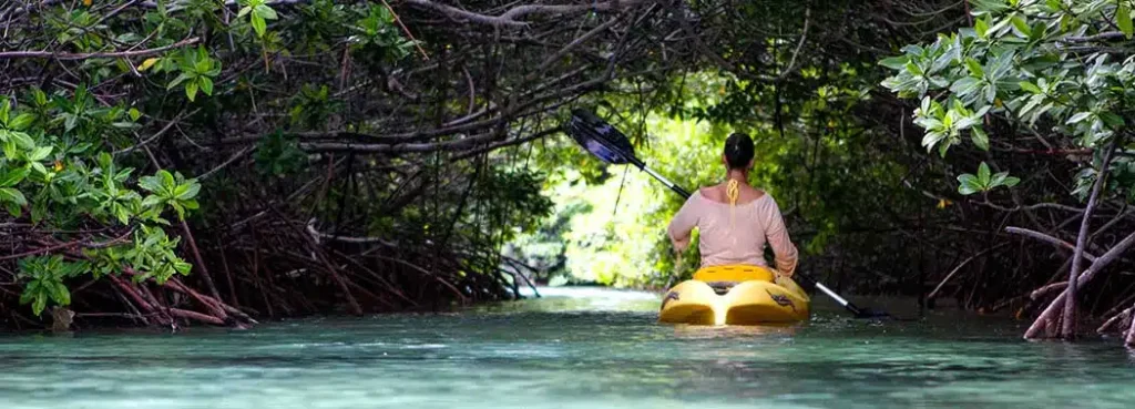 all-things-to-do-in-bonaire