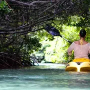 all-things-to-do-in-bonaire