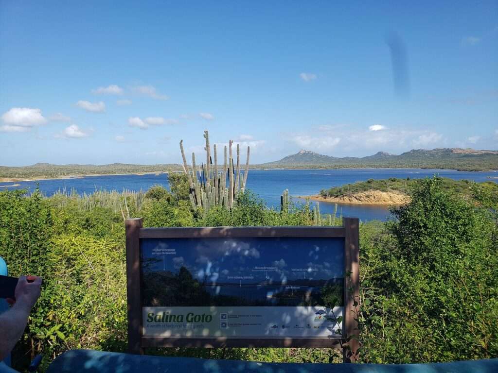 best-tours-and-tickets-in-bonaire