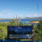 best-tours-and-tickets-in-bonaire