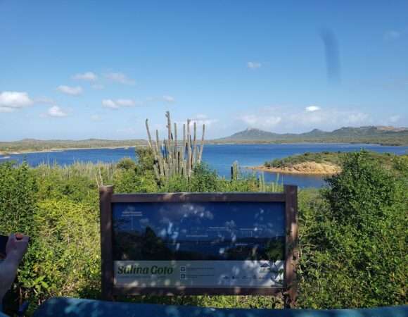 🏝️ The Best Tours and Tickets in Bonaire: Top-Rated Experiences You Can Trust