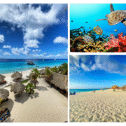 handy links Bonaire