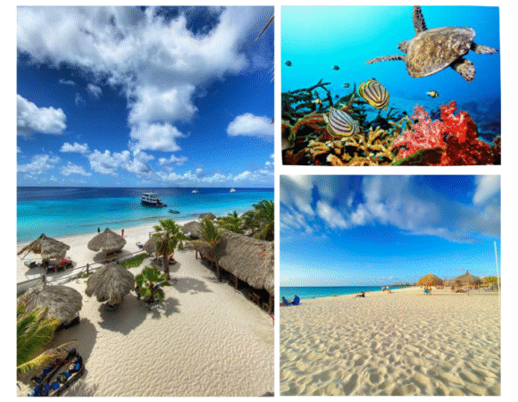 🔗 Handy Links Bonaire: Everything You Need in One Place