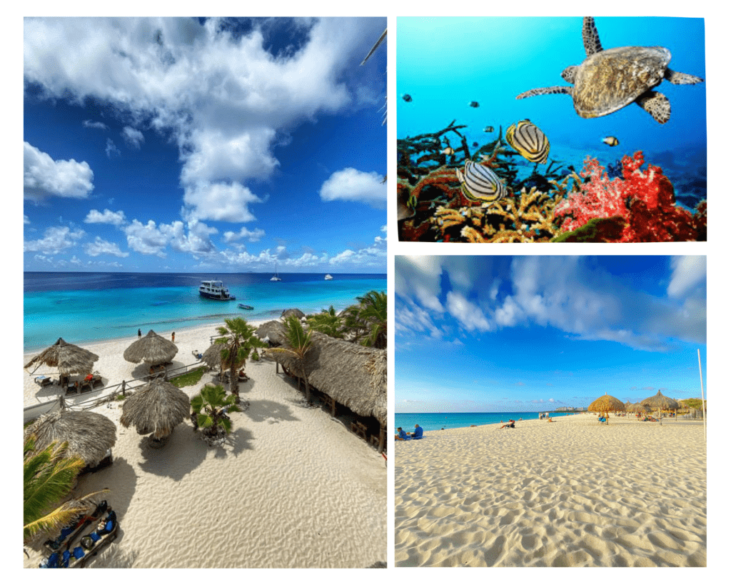 handy links Bonaire
