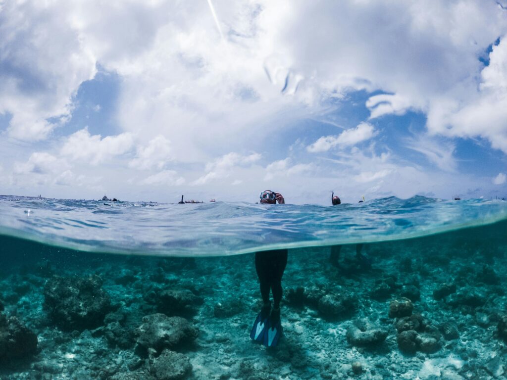 snorkel trip Klein Bonaire