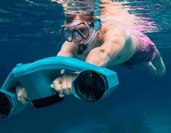 🌊 Snorkel Tour Marine Park Bonaire: Dive Into a Living Underwater World