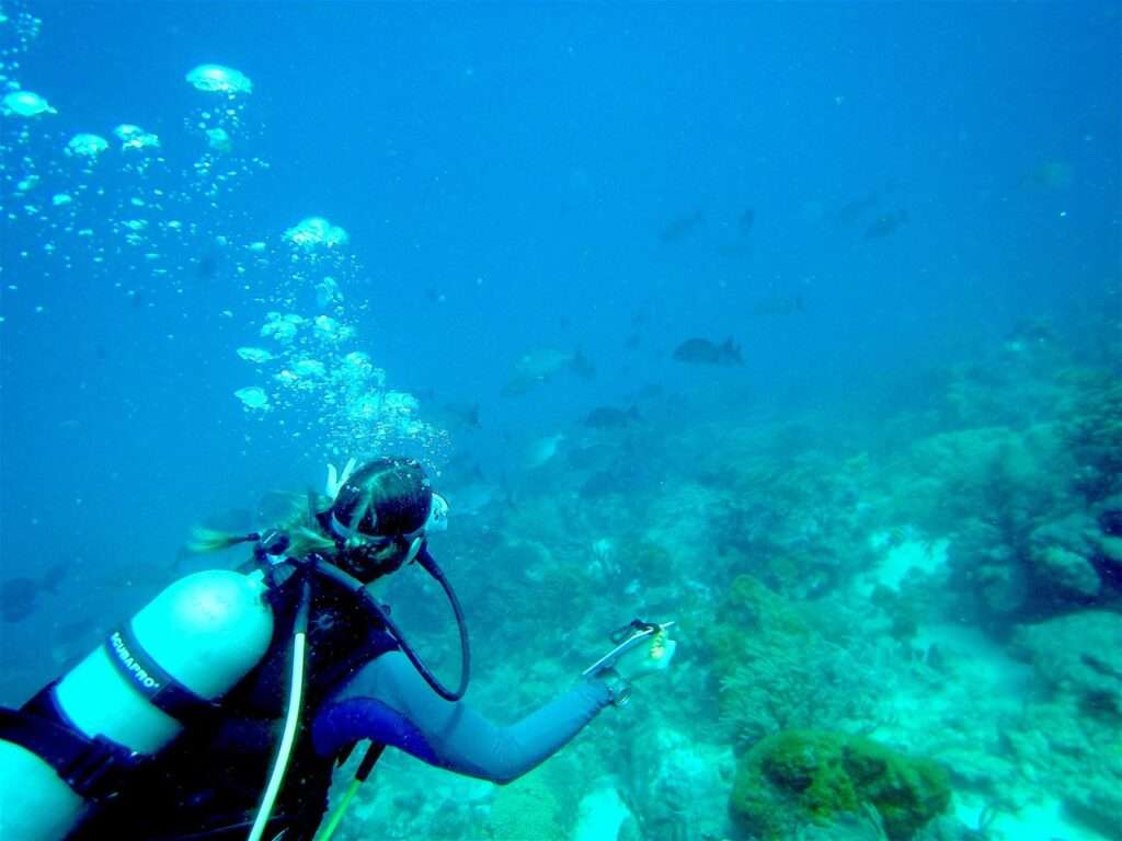 top 5 activities in Bonaire