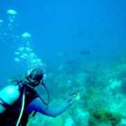 top 5 activities in Bonaire