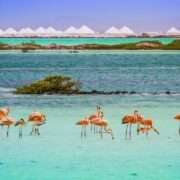A first-time guide to Bonaire