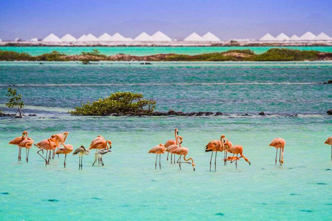 A first-time guide to Bonaire