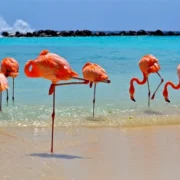 Is Bonaire a good island to visit?