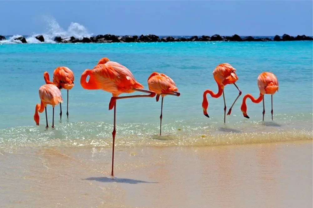 Is Bonaire a good island to visit?