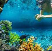 Bonaire Snorkeling Trips