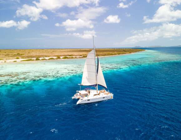 🌴 Bonaire Tours – Explore the Island with Local Experts