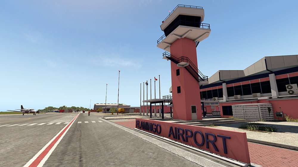 Bonaire airport to flamingo