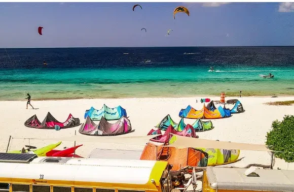 🌞 Activities in Bonaire: The Ultimate Guide to Island Adventures