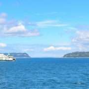 day trip from aruba to bonaire