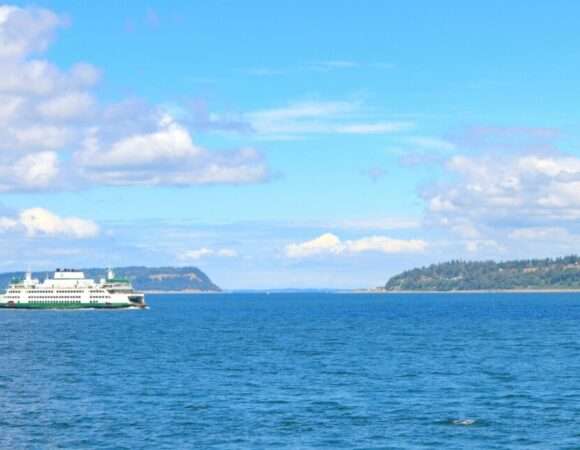 ✈️ Day Trip from Aruba to Bonaire: How to Make the Most of It