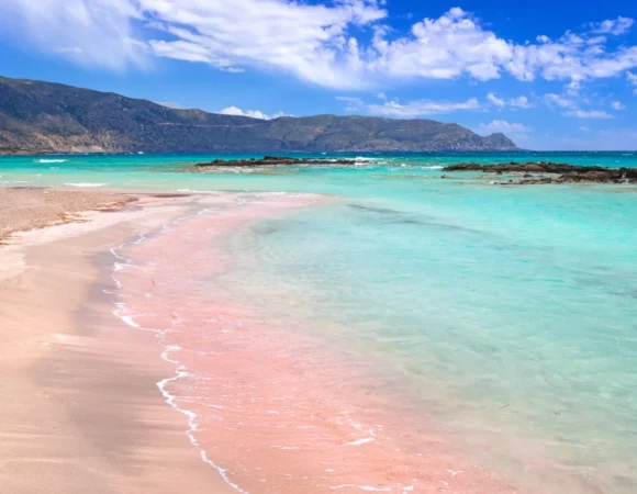 Pink Beach Bonaire: Exploring the Iconic Pink-Hued Shoreline 💖