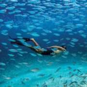 bonaire snorkeling tours