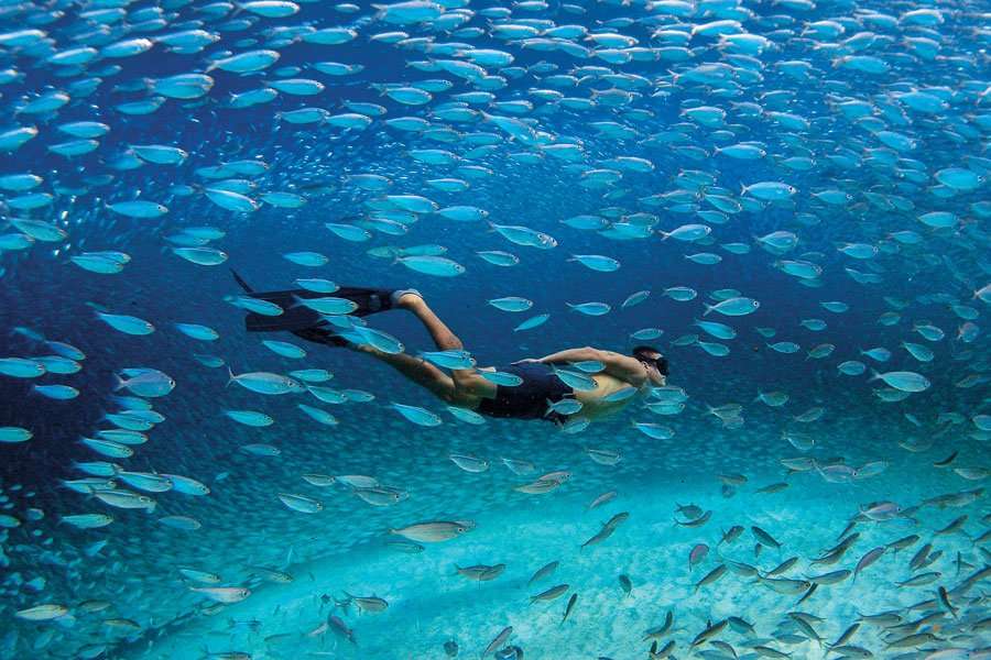 bonaire snorkeling tours
