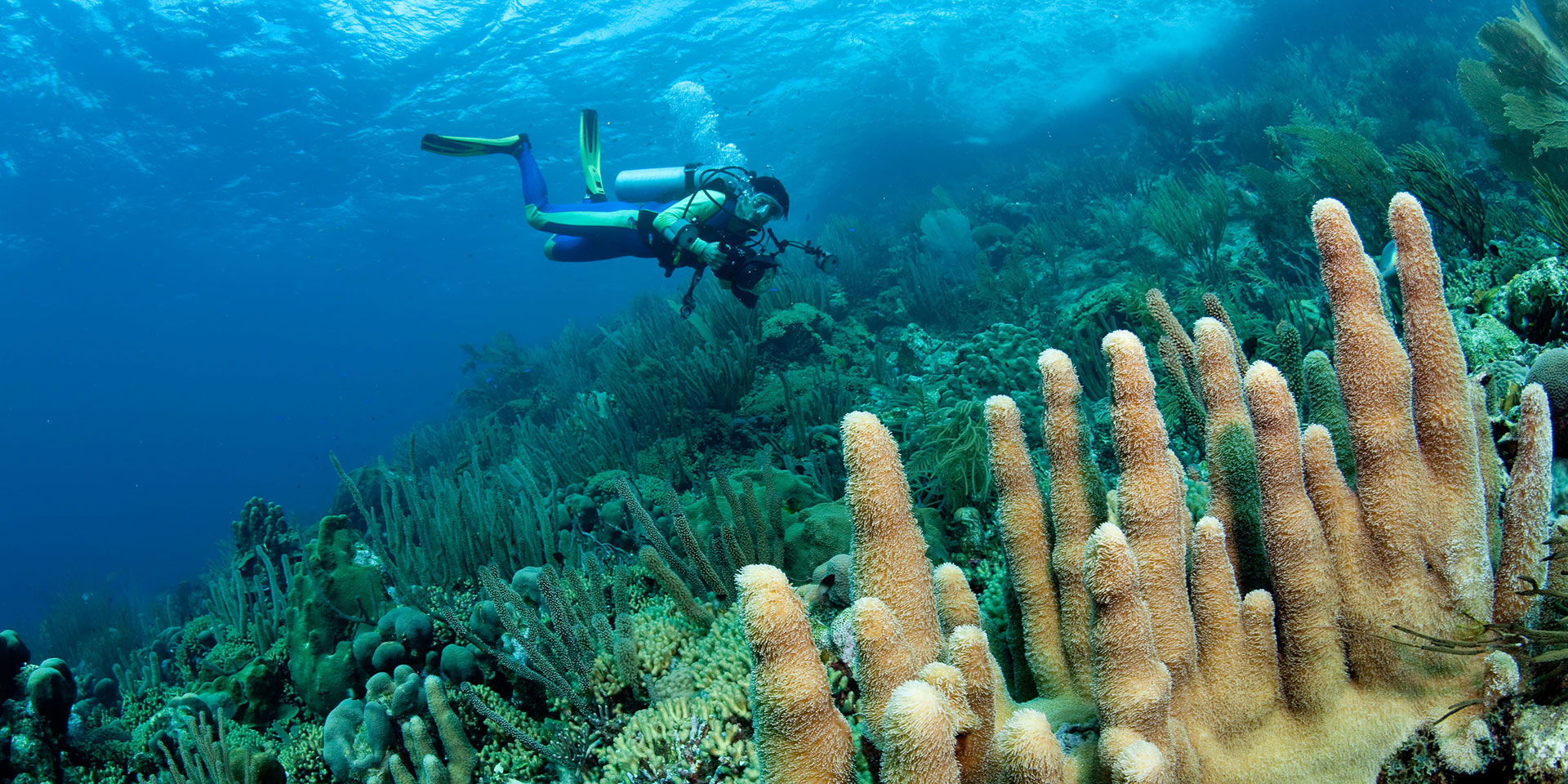 Is there a lot to do in Bonaire?