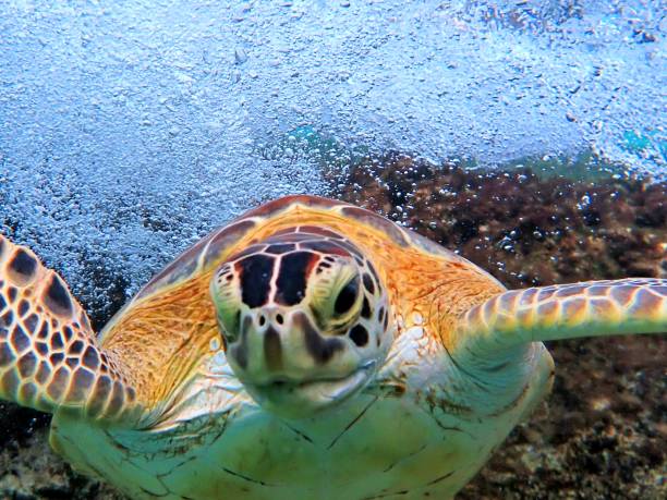 There are many places to visit in Bonaire