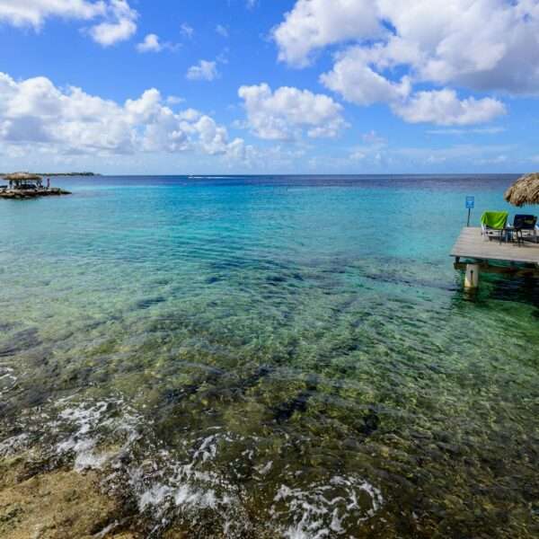 best snorkeling spots in Bonaire