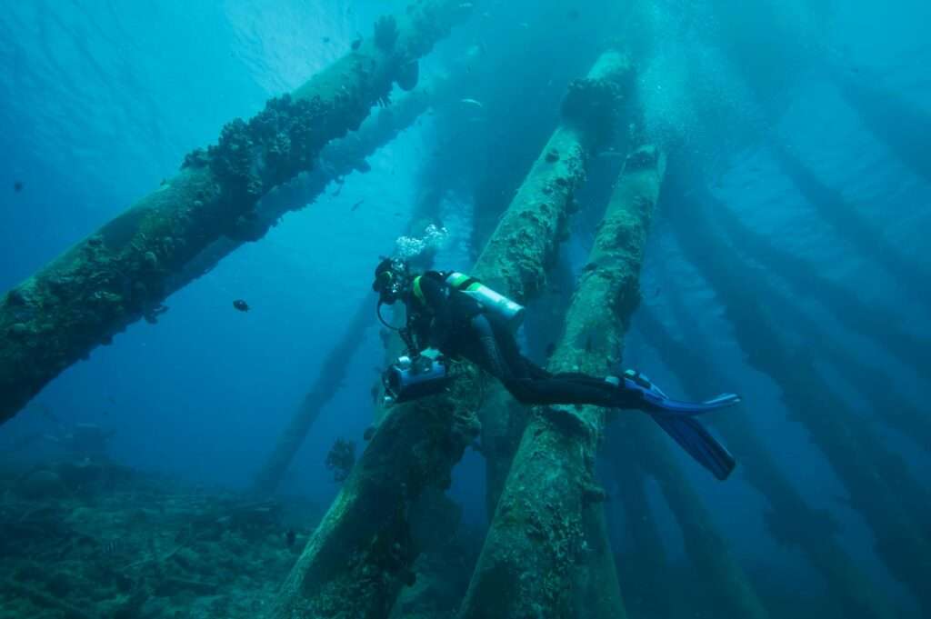 Bonaire underwater photography tips