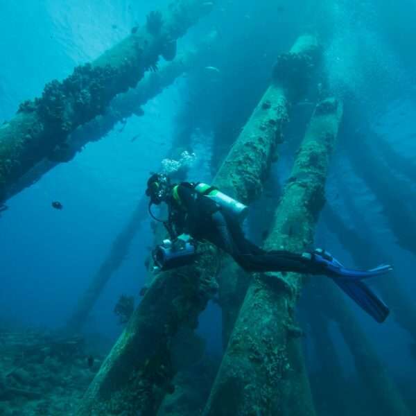 Bonaire underwater photography tips