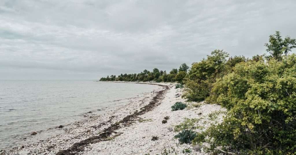 best beaches in Bonaire