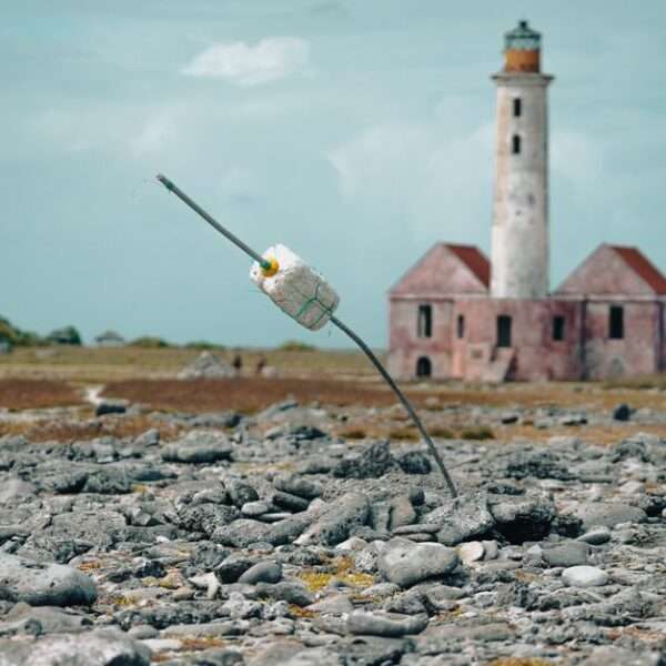 Bonaire cultural heritage tours