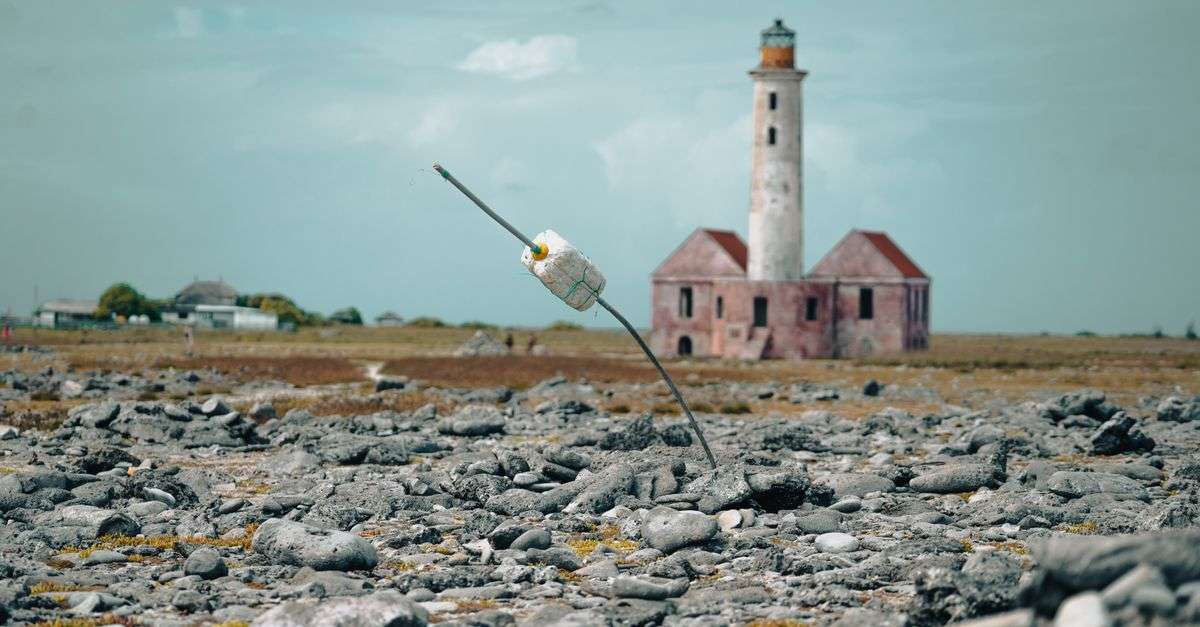Bonaire cultural heritage tours