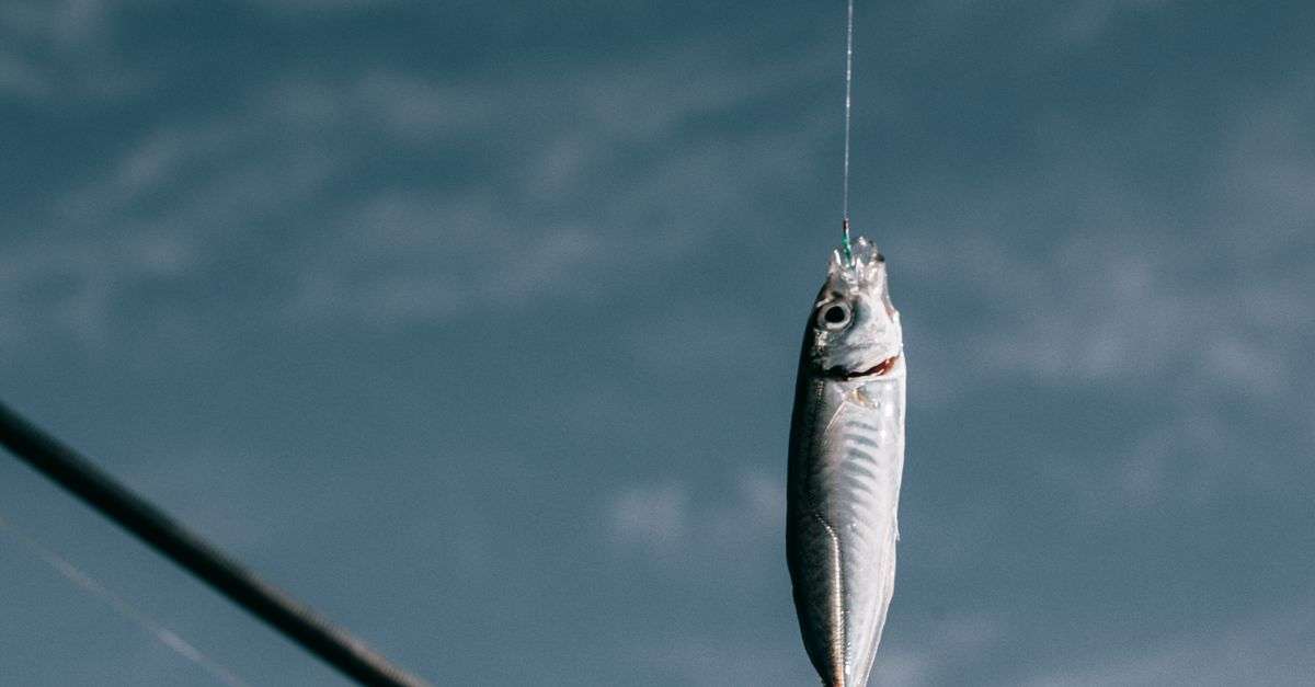 Bonaire fishing tours