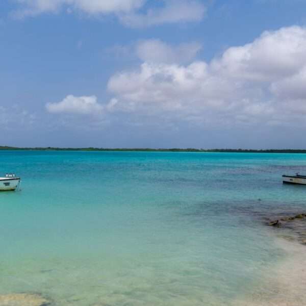 Bonaire water activities for kids