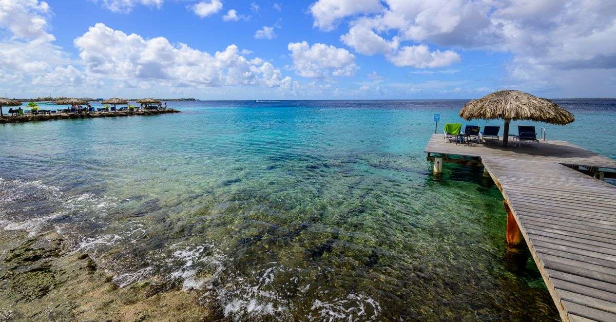Bonaire wellness retreats