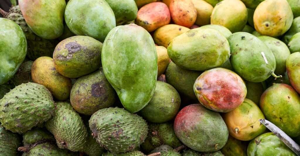exotic fruits of Bonaire