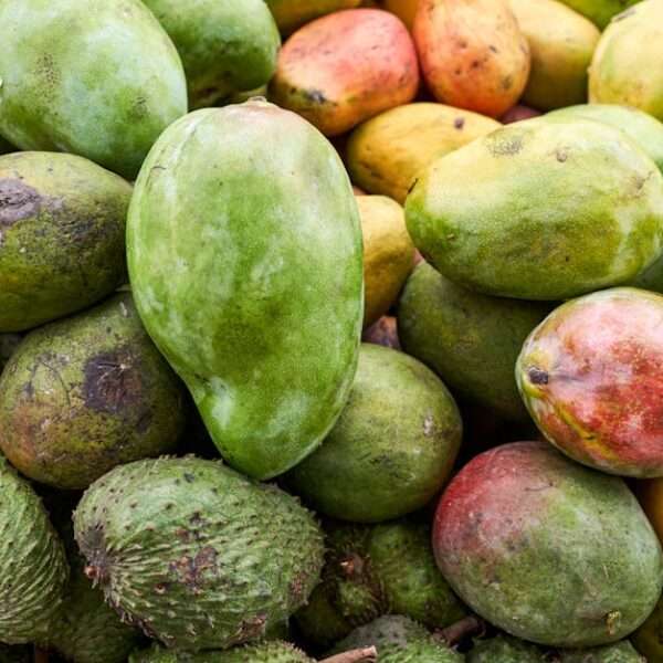 exotic fruits of Bonaire