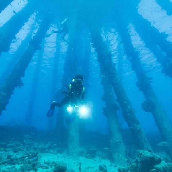 unique photography spots in Bonaire