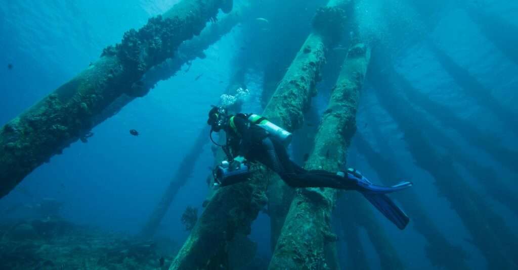 best Bonaire scuba diving packages